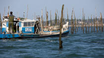 Basin of arcachon © Philip Plisson / Plisson La Trinité / AA29161 - Photo Galleries - Lighter used by oyster farmers