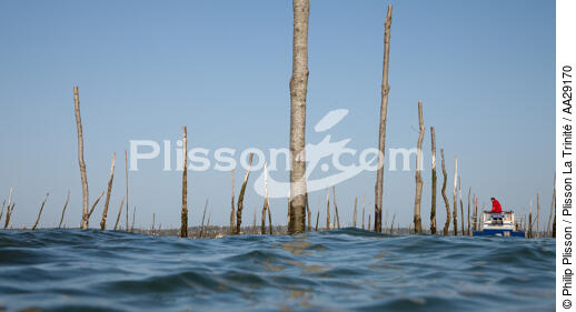 Bassin d'Arcachon - © Philip Plisson / Plisson La Trinité / AA29170 - Nos reportages photos - Ponton ostréicole