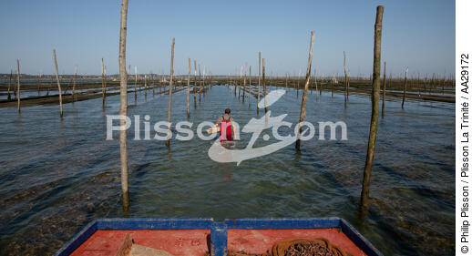 Bassin d'Arcachon - © Philip Plisson / Plisson La Trinité / AA29172 - Nos reportages photos - De Soulac à Capbreton