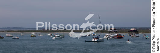 Bassin d'Arcachon - © Philip Plisson / Plisson La Trinité / AA29186 - Nos reportages photos - Aquitaine