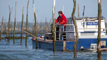 Basin of arcachon © Philip Plisson / Plisson La Trinité / AA29194 - Photo Galleries - Lighter used by oyster farmers