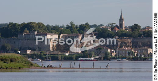 Bourg - © Philip Plisson / Plisson La Trinité / AA29198 - Nos reportages photos - De Royan à Bordeaux