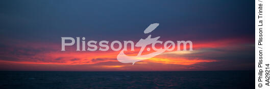 Charente sky - © Philip Plisson / Plisson La Trinité / AA29214 - Photo Galleries - Sunset