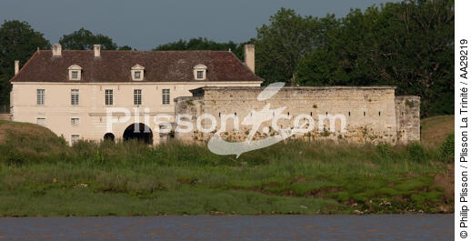 Cussac-Fort-Médoc - © Philip Plisson / Plisson La Trinité / AA29219 - Nos reportages photos - Couleur