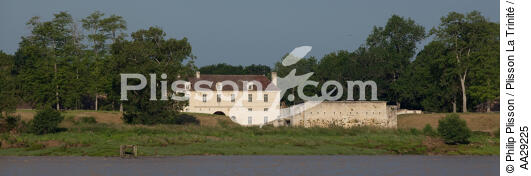 Cussac-Fort-Médoc - © Philip Plisson / Plisson La Trinité / AA29225 - Photo Galleries - Cussac-Fort-Médoc