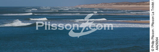 Lacanau - © Philip Plisson / Plisson La Trinité / AA29264 - Photo Galleries - Wave