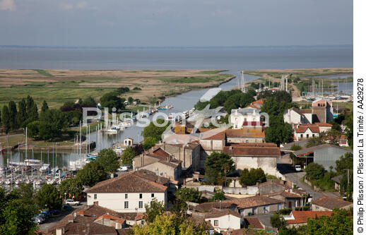 Mortagne sur Gironde - © Philip Plisson / Plisson La Trinité / AA29278 - Photo Galleries - Port