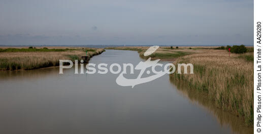 Mortagne sur Gironde - © Philip Plisson / Plisson La Trinité / AA29280 - Photo Galleries - Gironde estuary