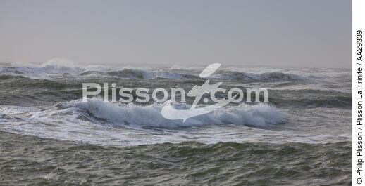 Pertuis de Maumuson - © Philip Plisson / Plisson La Trinité / AA29339 - Nos reportages photos - Mer