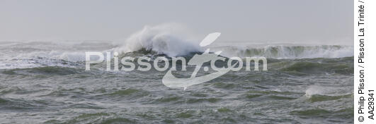 Pertuis de Maumuson - © Philip Plisson / Plisson La Trinité / AA29341 - Photo Galleries - Wave