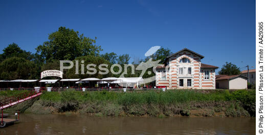 Libourne - © Philip Plisson / Plisson La Trinité / AA29365 - Nos reportages photos - Gironde