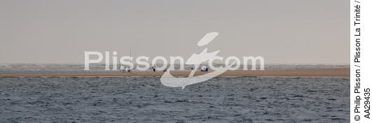 Le Cap Ferret - © Philip Plisson / Plisson La Trinité / AA29435 - Nos reportages photos - Gironde
