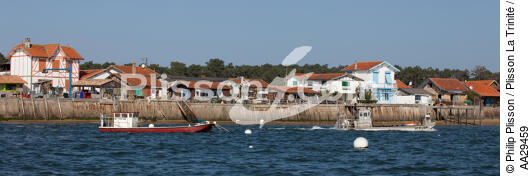 Le Cap Ferret - © Philip Plisson / Plisson La Trinité / AA29459 - Nos reportages photos - Gironde