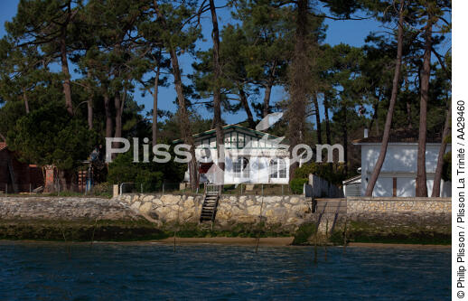 Le Cap Ferret - © Philip Plisson / Plisson La Trinité / AA29460 - Nos reportages photos - Aquitaine