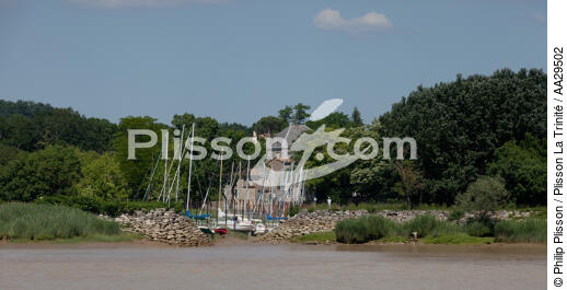 Plassac - © Philip Plisson / Plisson La Trinité / AA29502 - Nos reportages photos - De Royan à Bordeaux