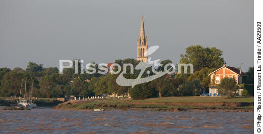 Saint Christoly Médoc - © Philip Plisson / Plisson La Trinité / AA29509 - Photo Galleries - River [large]