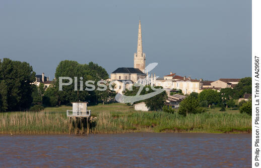 Saint-Julien-de-Beychevelle - © Philip Plisson / Plisson La Trinité / AA29567 - Nos reportages photos - Gironde