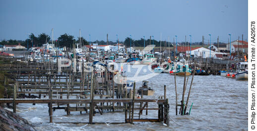 Port-du-Bec - © Philip Plisson / Plisson La Trinité / AA29578 - Photo Galleries - Oyster farming