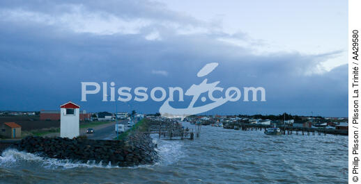 Port-du-Bec - © Philip Plisson / Plisson La Trinité / AA29580 - Photo Galleries - Shellfish farming
