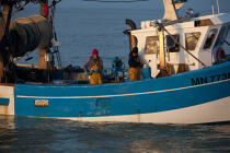 Pêche au Maigre dans l'estuaire de la Gironde © Philip Plisson / Plisson La Trinité / AA29589 - Nos reportages photos - Hydrologie