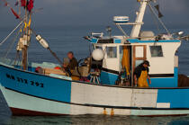 fishing in the estuary of the Gironde © Philip Plisson / Plisson La Trinité / AA29596 - Photo Galleries - Fisherman