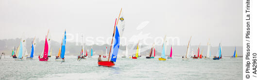 L'île aux moines regatta - © Philip Plisson / Plisson La Trinité / AA29610 - Photo Galleries - Island [56]