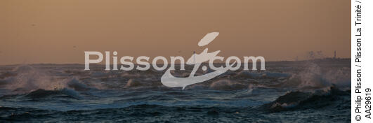Gironde estuary - © Philip Plisson / Plisson La Trinité / AA29619 - Photo Galleries - Wave