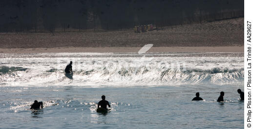 Surf en Gironde - © Philip Plisson / Plisson La Trinité / AA29627 - Nos reportages photos - Contre-jour
