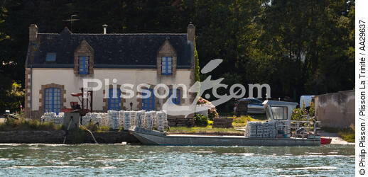 Cra'ch river - © Philip Plisson / Plisson La Trinité / AA29637 - Photo Galleries - Trinité-sur-Mer [The]