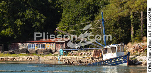 Rivière de Crac'h - © Philip Plisson / Plisson La Trinité / AA29639 - Nos reportages photos - Cimetière marin