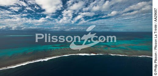 Nouvelle-Caledonie - © Philip Plisson / Plisson La Trinité / AA29687 - Nos reportages photos - Echouage