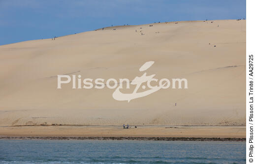 The dune du Pilat - © Philip Plisson / Plisson La Trinité / AA29725 - Photo Galleries - From Soulac to Capbreton