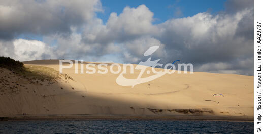 The dune du Pilat - © Philip Plisson / Plisson La Trinité / AA29737 - Photo Galleries - Paraglider