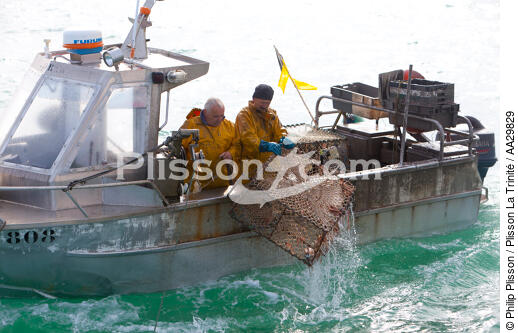 Caseyeur en pêche à la seiche - © Philip Plisson / Plisson La Trinité / AA29829 - Nos reportages photos - Bateau de pêche