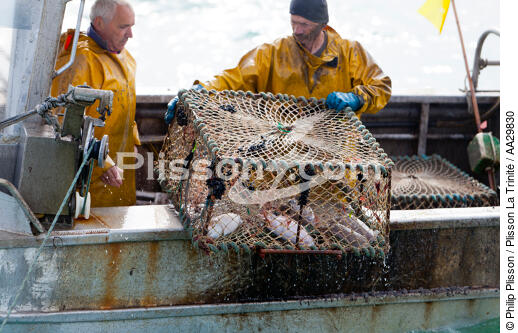 Caseyeur en pêche à la seiche - © Philip Plisson / Plisson La Trinité / AA29830 - Nos reportages photos - Manche [La]