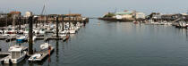 Le port de plaisance de Cherbourg © Philip Plisson / Plisson La Trinité / AA29836 - Nos reportages photos - Manche [La]