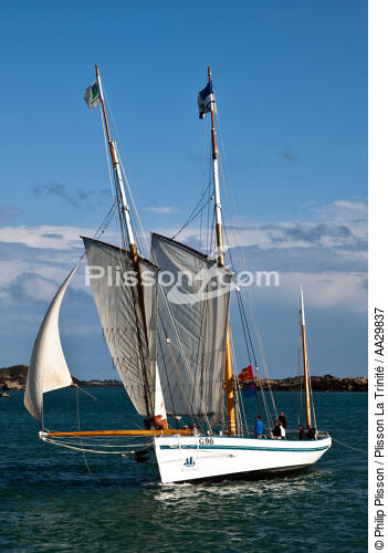 The Granvillaise in Chausey island - © Philip Plisson / Plisson La Trinité / AA29837 - Photo Galleries - Bisquine : typical Breton boat used for fishing