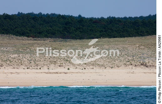 Landes coast - © Philip Plisson / Plisson La Trinité / AA29981 - Photo Galleries - From Soulac to Capbreton
