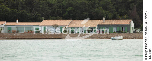 La Flotte, maisons de vacances les pieds dans l’eau. - © Philip Plisson / Plisson La Trinité / AA30018 - Nos reportages photos - Poitou-Charentes