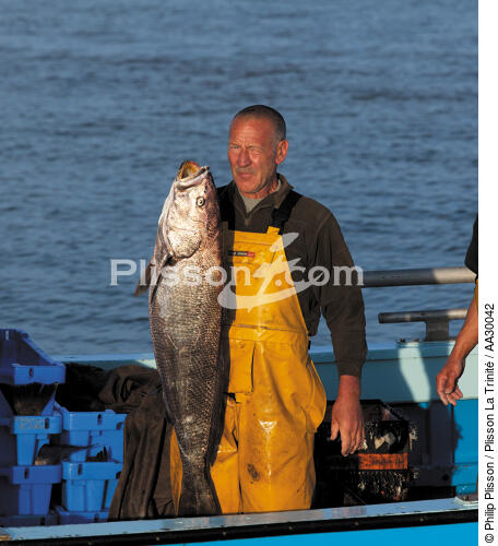 Pêche au maigre dans l'estuaire de la Gironde - © Philip Plisson / Plisson La Trinité / AA30042 - Nos reportages photos - De Royan à Bordeaux
