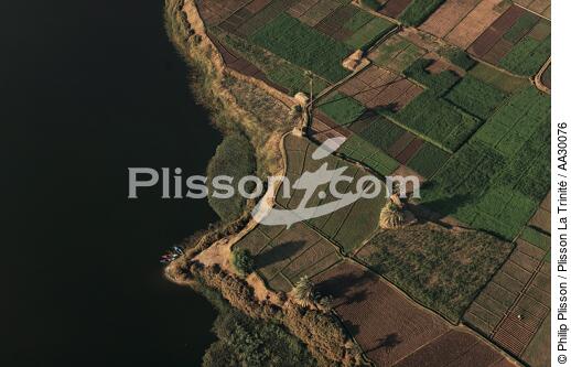 On the banks of the Nile - © Philip Plisson / Plisson La Trinité / AA30076 - Photo Galleries - Egypt from above