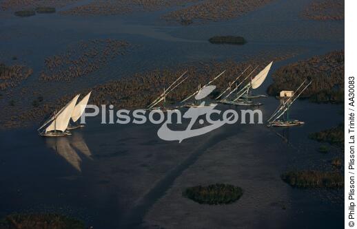 Feluccas on Lake Burullus in Egypt [AT] - © Philip Plisson / Plisson La Trinité / AA30083 - Photo Galleries - Egypt from above