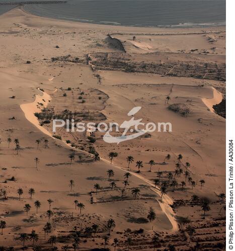 Landscape of the surroundings of Alexandria, Egypt. [AT] - © Philip Plisson / Plisson La Trinité / AA30084 - Photo Galleries - Square format
