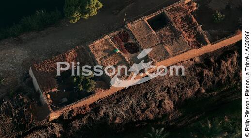 Récoltes séchants sur le toit des maisons. - © Philip Plisson / Plisson La Trinité / AA30266 - Nos reportages photos - Egypte