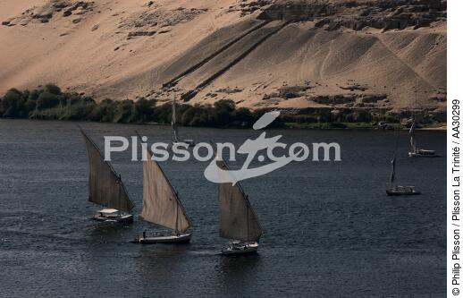 Felouques sur le Nil. - © Philip Plisson / Plisson La Trinité / AA30299 - Nos reportages photos - Vieux gréement