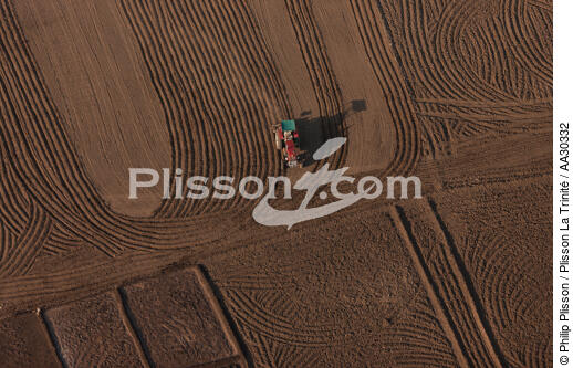 Cultures sur les bords du Nil - © Philip Plisson / Plisson La Trinité / AA30332 - Nos reportages photos - Egypte