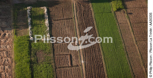 Cultures sur les bords du Nil - © Philip Plisson / Plisson La Trinité / AA30335 - Photo Galleries - Egypt from above