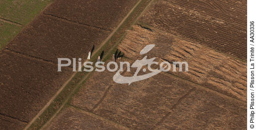Cultures sur les bords du Nil - © Philip Plisson / Plisson La Trinité / AA30336 - Nos reportages photos - L'Egypte vue du ciel