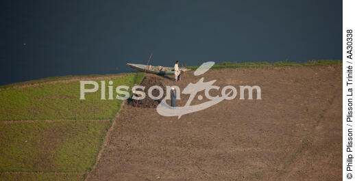 Cultures sur les bords du Nil - © Philip Plisson / Plisson La Trinité / AA30338 - Nos reportages photos - L'Egypte vue du ciel