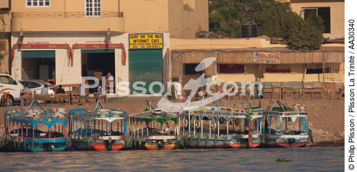 Sur le bord du Nil. - © Philip Plisson / Plisson La Trinité / AA30340 - Nos reportages photos - Nil [le]